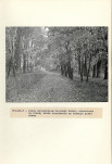 Ewidencja parkowa, skan nr 30