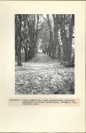 Ewidencja parkowa, skan nr 34