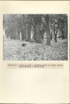 Ewidencja parkowa, skan nr 35