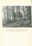 Ewidencja parkowa, skan nr 29