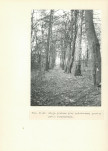 Ewidencja parkowa, skan nr 31