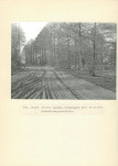 Ewidencja parkowa, skan nr 33