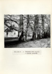 Ewidencja parkowa, skan nr 26