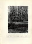 Ewidencja parkowa, skan nr 26