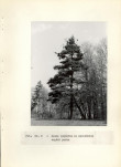 Ewidencja parkowa, skan nr 27