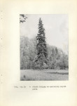 Ewidencja parkowa, skan nr 28