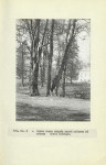 Ewidencja parkowa, skan nr 20
