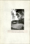 Ewidencja parkowa, skan nr 20
