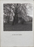 Ewidencja parkowa, skan nr 16