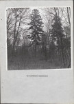 Ewidencja parkowa, skan nr 22
