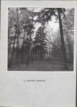 Ewidencja parkowa, skan nr 24