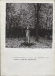 Ewidencja parkowa, skan nr 22