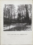 Ewidencja parkowa, skan nr 24