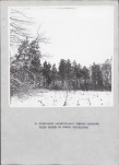 Ewidencja parkowa, skan nr 22