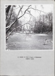Ewidencja parkowa, skan nr 23
