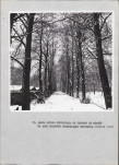 Ewidencja parkowa, skan nr 25