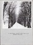 Ewidencja parkowa, skan nr 26