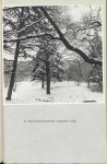 Ewidencja parkowa, skan nr 28