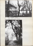 EP - Ewidencja parkowa, skan nr 20
