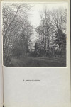 Ewidencja parkowa, skan nr 32