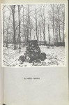 Ewidencja parkowa, skan nr 33