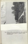 Ewidencja parkowa, skan nr 41