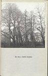 Ewidencja parkowa, skan nr 46