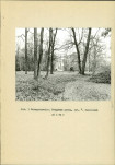 EP - Ewidencja parkowa, skan nr 16