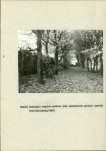 Ewidencja parkowa, skan nr 17