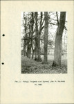 Ewidencja parkowa, skan nr 18