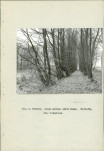 Ewidencja parkowa, skan nr 15