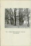 Ewidencja parkowa, skan nr 16