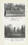 Ewidencja parkowa, skan nr 24