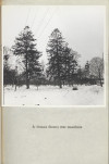 Ewidencja parkowa, skan nr 24