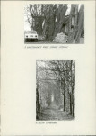 Ewidencja parkowa, skan nr 17
