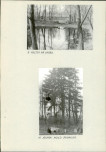 Ewidencja parkowa, skan nr 18