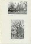 Ewidencja parkowa, skan nr 19