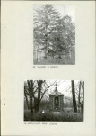Ewidencja parkowa, skan nr 21