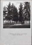 Ewidencja parkowa, skan nr 24