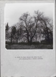 Ewidencja parkowa, skan nr 26
