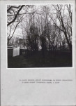 Ewidencja parkowa, skan nr 29