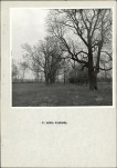 Ewidencja parkowa, skan nr 16
