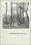 Ewidencja parkowa, skan nr 17