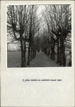 Ewidencja parkowa, skan nr 22