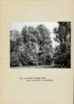 Ewidencja parkowa, skan nr 14