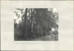 Ewidencja parkowa, skan nr 50