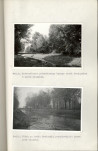 Ewidencja parkowa, skan nr 34