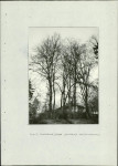 Ewidencja parkowa, skan nr 40