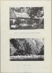 Ewidencja parkowa, skan nr 26