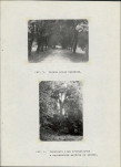 Ewidencja parkowa, skan nr 16
